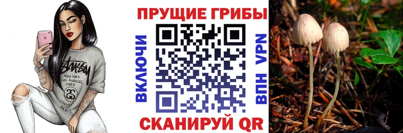 hydra рабочий сайт  Зерноград  Псилоцибиновые грибы GOLDEN TEACHER 